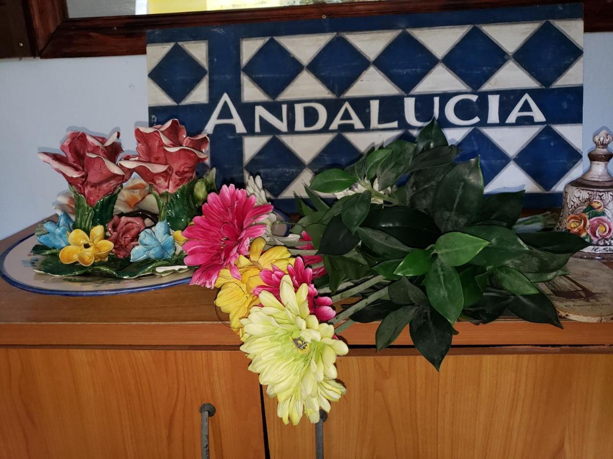 Andalucia Guest House 圣胡安 外观 照片